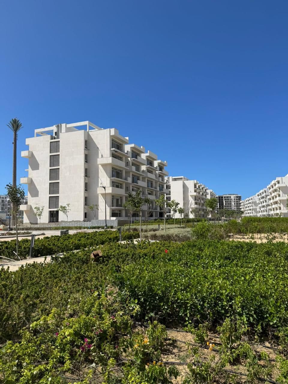 Apartment for sale in Mazarine Chalet Extension with 2 bedrooms in Al Alamein by City Edge Developments